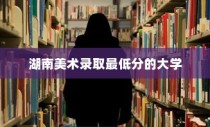 湖南美术录取最低分的大学，艺术之门的探索之旅