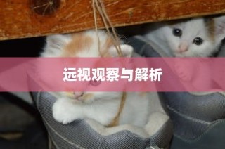 代驾电车控制器接线指南，步骤详解与操作手册