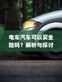 电车汽车全险解析与探讨