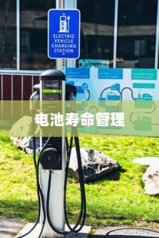电车价格稳定背后的原因探究，为何谈判难以达成价格变动？