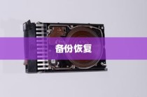 使用备份恢复