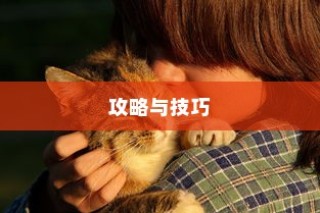 猫和老鼠手游梦幻攻略，策略与技巧全面揭秘