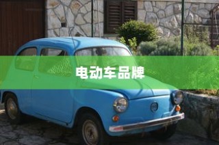 探寻电动车品牌之最，明智选购电车指南