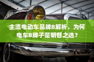 主流电动车品牌B深度解析，为何选择电车B牌子是明智的决策？