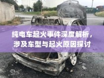 新能源电车电池质保深度解析与探讨，探究电池质保的细节与未来趋势