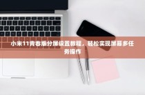 小米11青春版分屏设置教程，轻松实现屏幕多任务操作