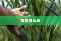 TCL程控交换机，优越性详解与价格指南