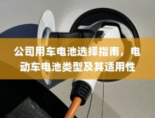 冬季电动车适用性及性能优化探究，寒冷天气中的驰骋可能性探讨