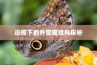 揭秘大学特殊规定，电车禁入背后的真相