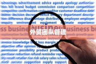 提升外贸团队效能与执行力的策略与管理方法探讨