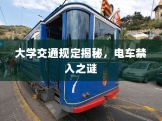 大学交通规定深度解析，电车禁入背后的秘密