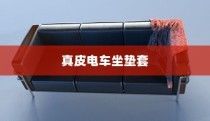 真皮电车坐垫套的通用性探讨