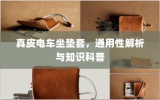 真皮电车坐垫套，通用性详解与知识科普