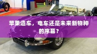 购买电车开票指南与发票问题解答