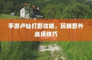 手游卢仙打野攻略，玩转野外战场技巧秘籍