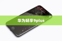 华为畅享9plus使用抬手亮屏功能的详细步骤