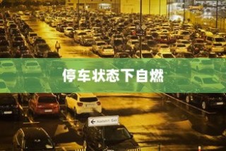 电车车型多样选择，总有一款适合您！