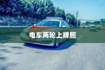 电车两轮上牌照知识解析与应用指南