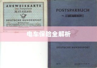 电车保险全解析，涵盖全险购买及保险种类选择探讨