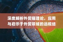 深度解析外贸猫理论，启示与远视结构探讨于外贸领域