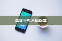 买苹果手机选什么版，全面解析不同版本的差异与选择策略