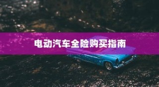 电动汽车保险种类详解与全险购买指南
