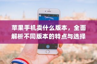 苹果手机卖什么版本，全面解析不同版本的特点与选择