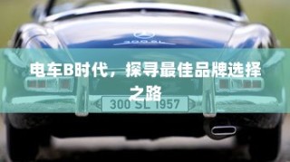 电车B时代，探寻最佳品牌之路