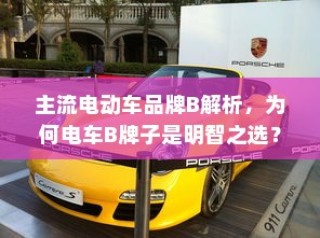 主流电动车品牌B深度解析，为何选择电车B牌子是明智的决策？
