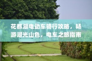 电车品牌对比指南，哪一款电动车更值得您的信赖？