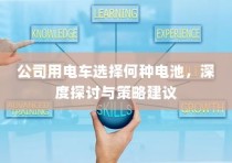 公司电车电池选择深度探讨及策略建议