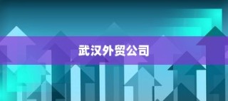 武汉外贸公司多元化战略下的蓬勃发展轨迹