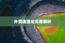 深度解析外贸猫理论，启示与远视结构探讨于外贸领域