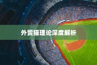深度解析外贸猫理论，启示与远视结构探讨于外贸领域