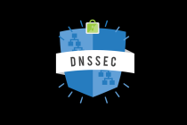 DNS NSEC记录是什么