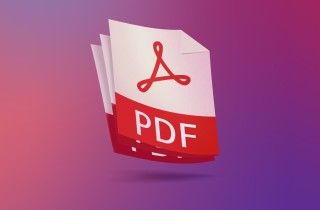 FDF文件是什么意思