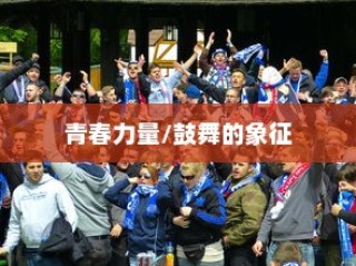 王俊凯高考加油字体，青春力量的鼓舞与象征
