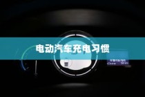 电动汽车充电习惯探讨，电车是否需要耗尽再充电？