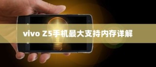 vivo Z5手机最大支持内存详解
