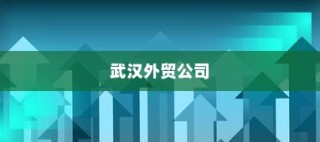 电车FR功能解析，揭示FR的真正含义
