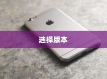 买苹果手机，该如何选择适合自己的版本？
