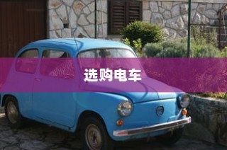 探寻最佳电动车品牌，智慧选购指南！