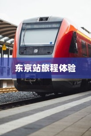 电车电瓶加酸指南，从了解、操作到维护全攻略