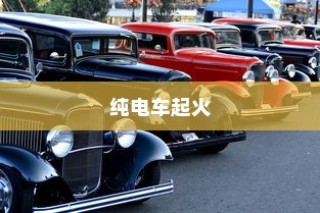 纯电车起火车型深度剖析