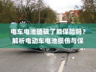 纯电车电机运转深度解析，行驶过程中的动力机制揭秘