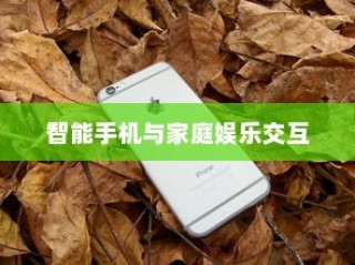 iPhone12能否遥控电视，探索智能手机与家庭娱乐的新交互