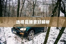 当下主流电车品牌深度解析，哪个品牌更值得选择？