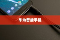 华为智能手机进水应急处理指南