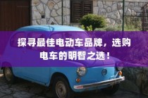 探寻最佳电动车品牌，智慧选购指南！