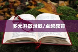 上海大学多元开放录取，追求卓越教育之路
